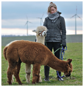 Tiergestützte Pädagogik - „Wegbegleiter“ 